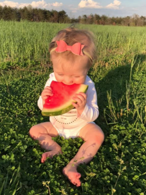 family owned and operated farmers market and nursery