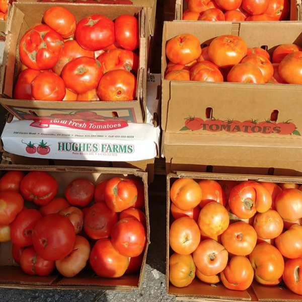 hughes farms local tomatos