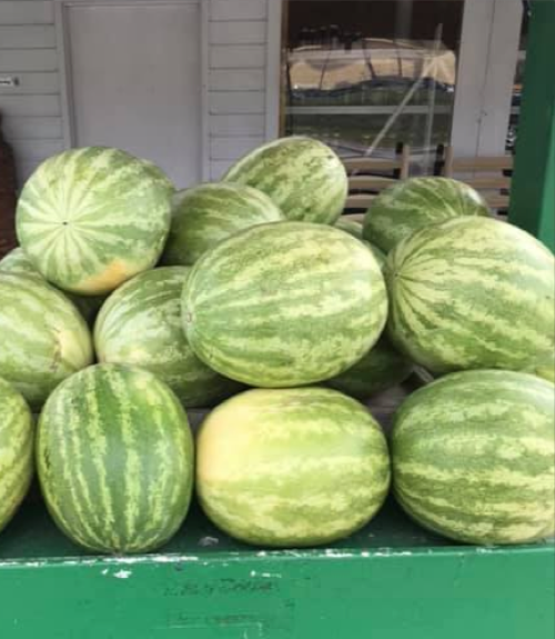 chattanooga watermelons