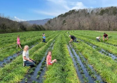 Local Farming